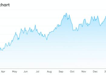 ZIM Stock: A Deep Dive into One of the Shipping Industry’s Most Watched Equities